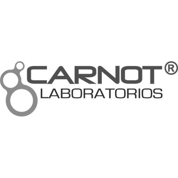 Logo 8